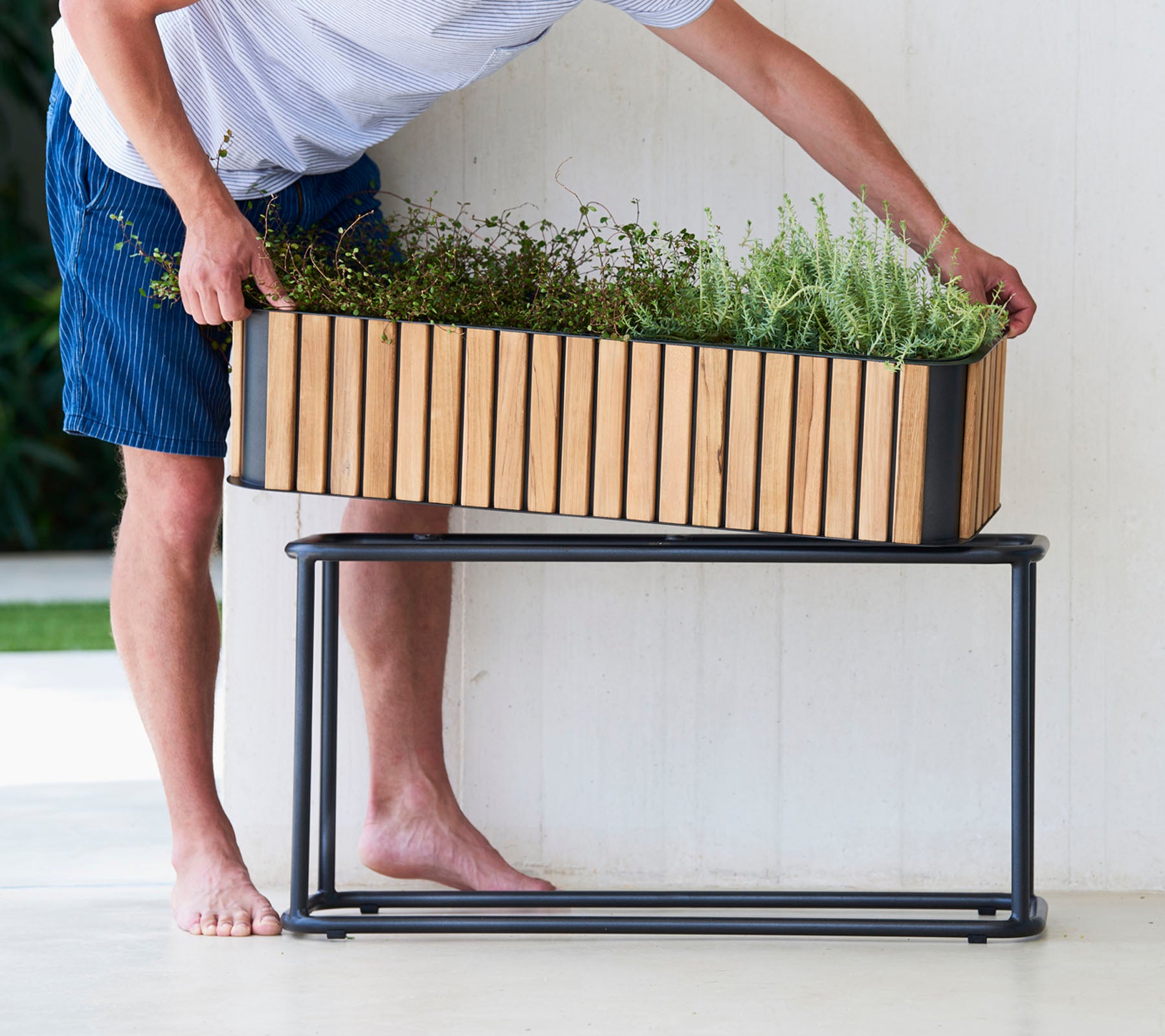 En person arrangerer planter i en treplantekasse på en stilren metallstativ, som viser en blanding av naturlige og moderne designelementer.