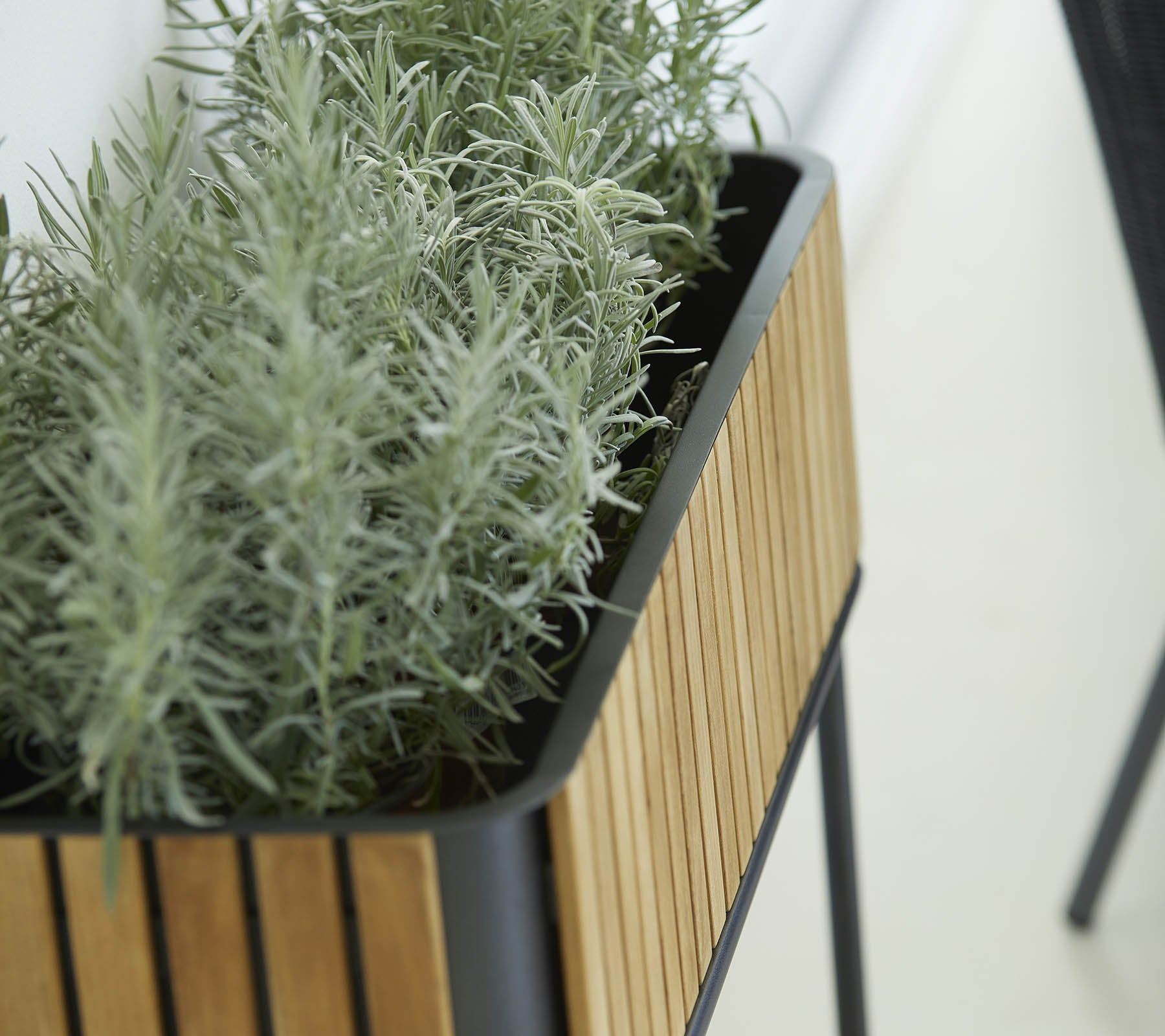 Planter med et elegant design som har en ytre av trelister og frodige grønne planter, og som tilfører omgivelsene et preg av natur.