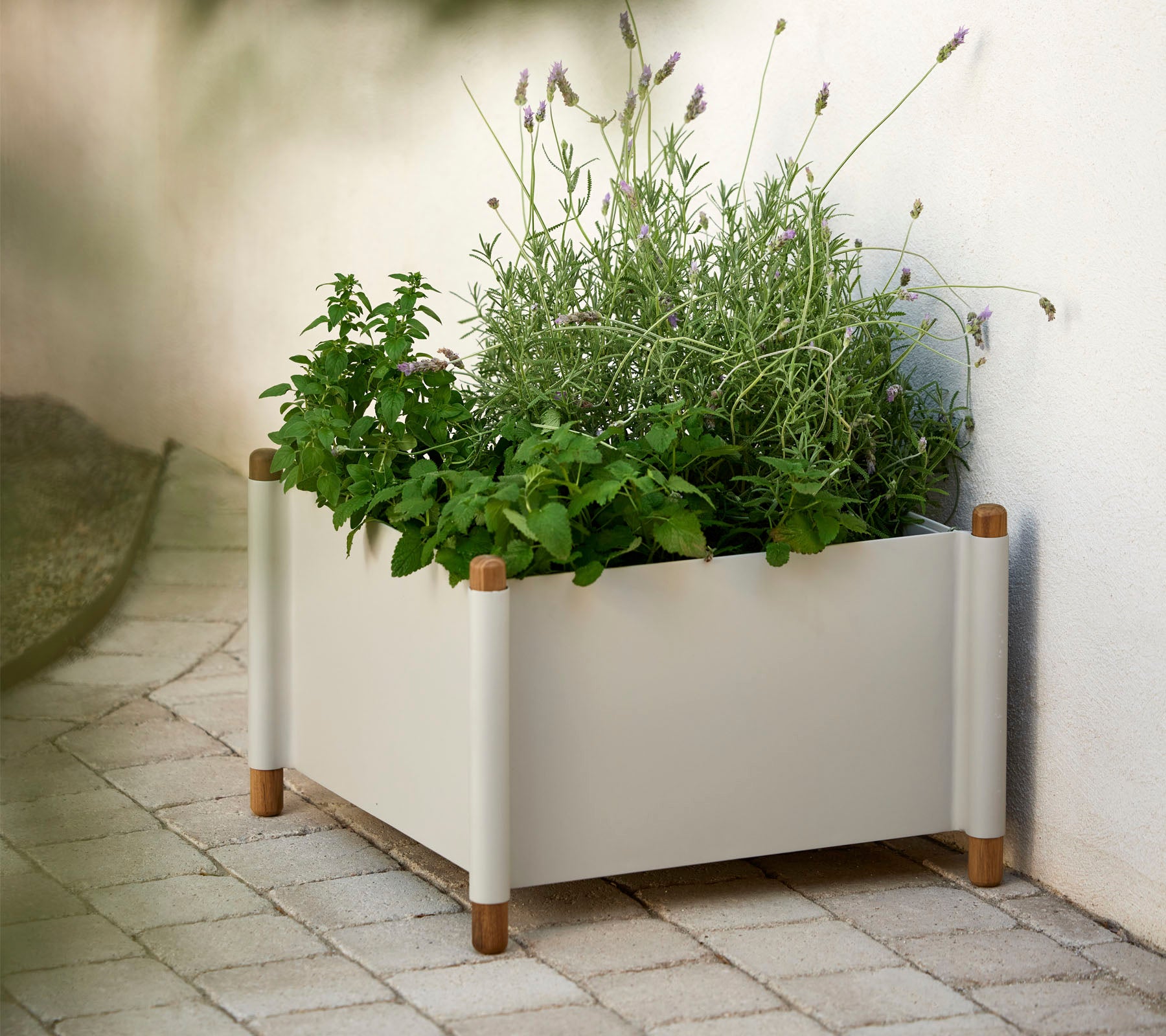 En moderne plantekasse fylt med ulike grønne urter og planter, med naturlige tre detaljer på hjørnene.