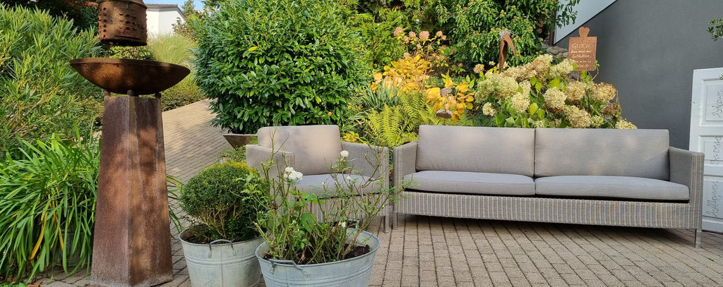 A cozy green spot in the backyard