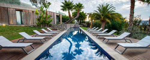 En rekke solsenger ved en reflekterende basseng, omgitt av frodig grønt og palmer, som skaper et rolig avslapningsområde.