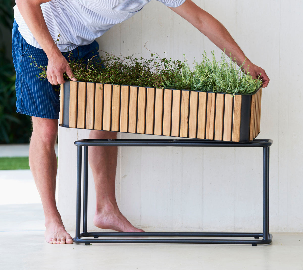 En person arrangerer planter i en treplantekasse på en stilren metallstativ, som viser en blanding av naturlige og moderne designelementer.