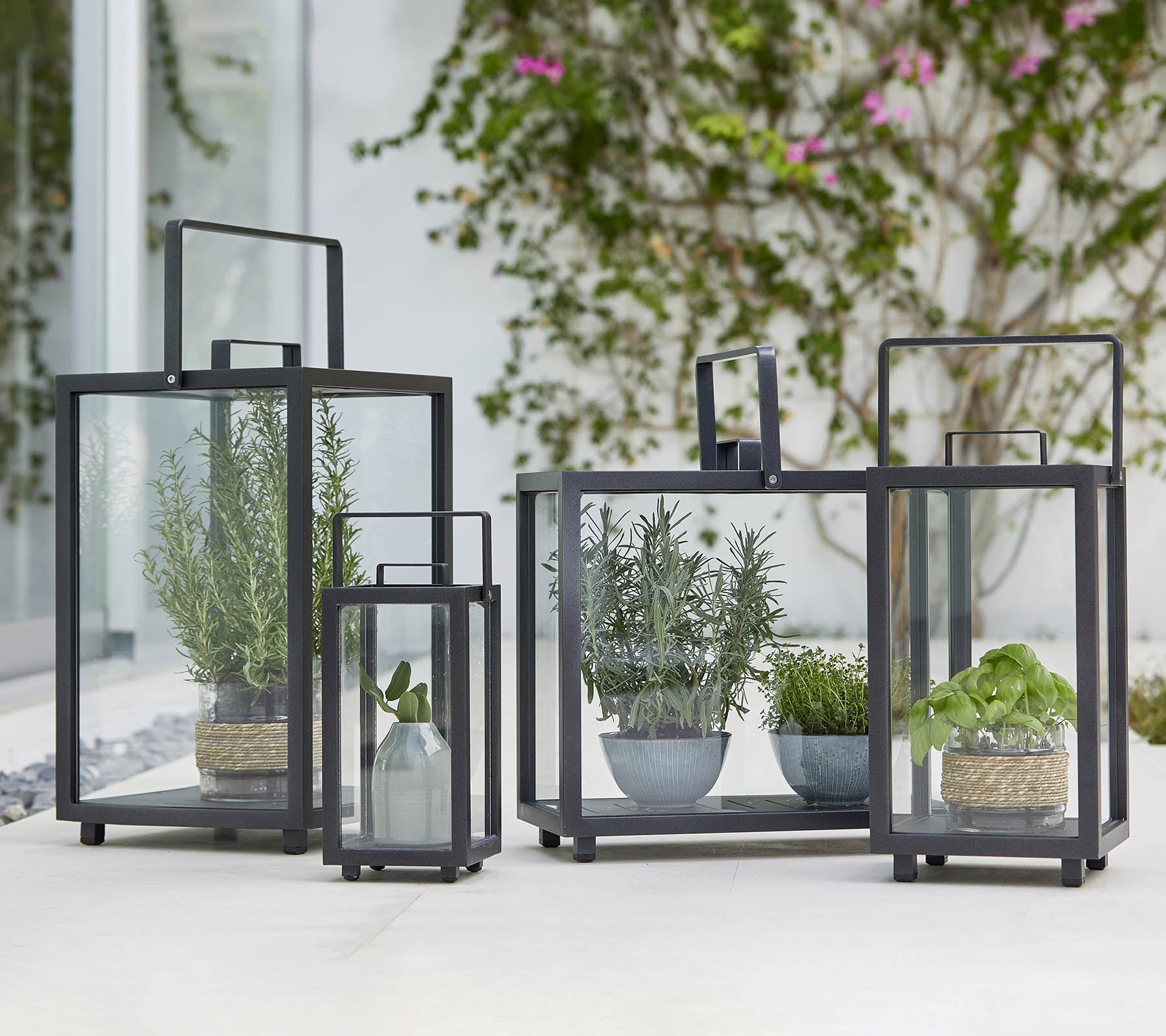 Fire geometriske glasslanterner med forskjellige potteplanter inni, som viser frem moderne design og grønn preg.
