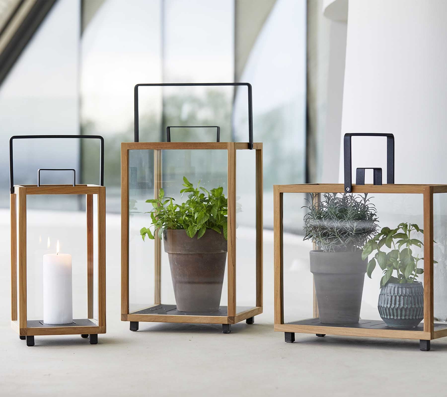 Tre stilige glasslanterner med trerammer, som viser et lys og potteplanter inni hver.