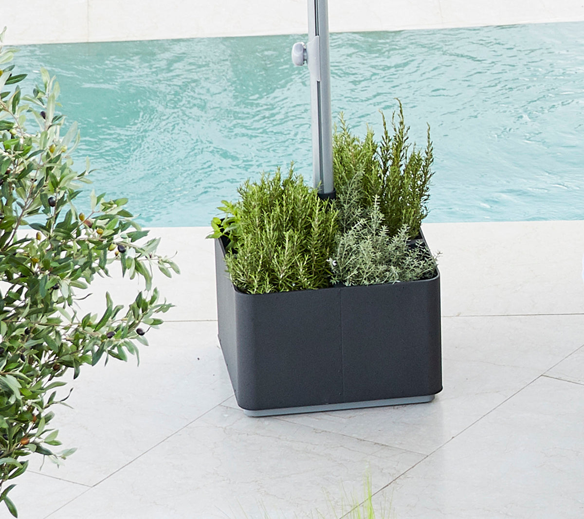 Planter fylt med levende grønnfarger, med forskjellige planter plassert ved et vannområde, som gir en frisk, rolig atmosfære.