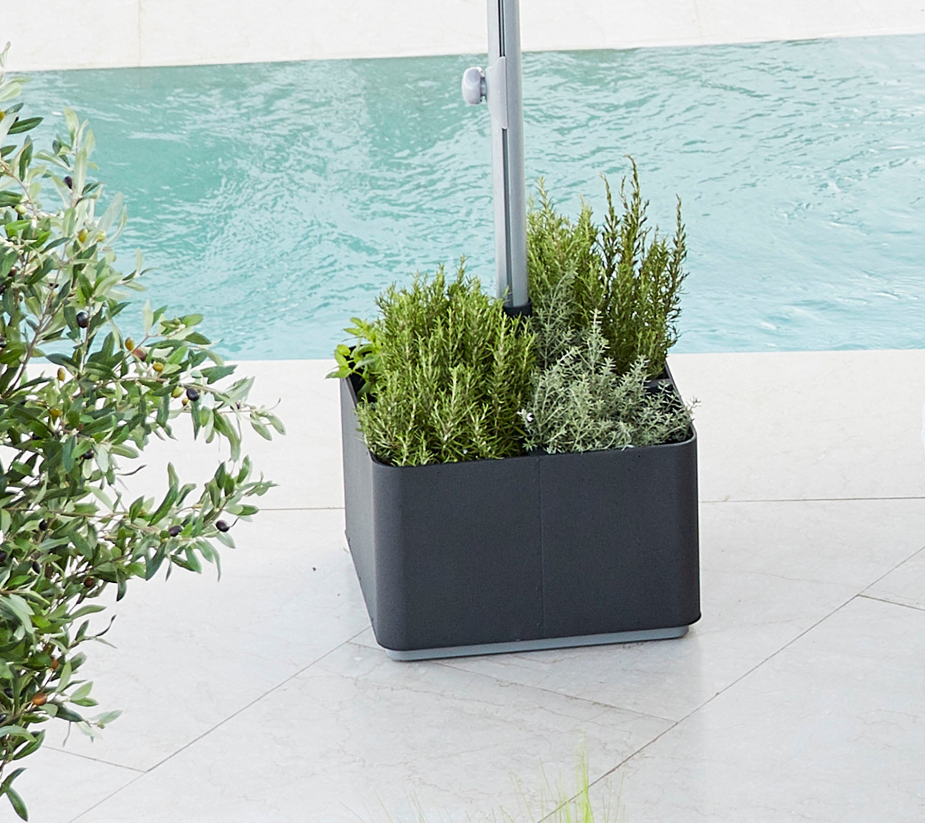 Planter fylt med levende grønnfarger, med forskjellige planter plassert ved et vannområde, som gir en frisk, rolig atmosfære.