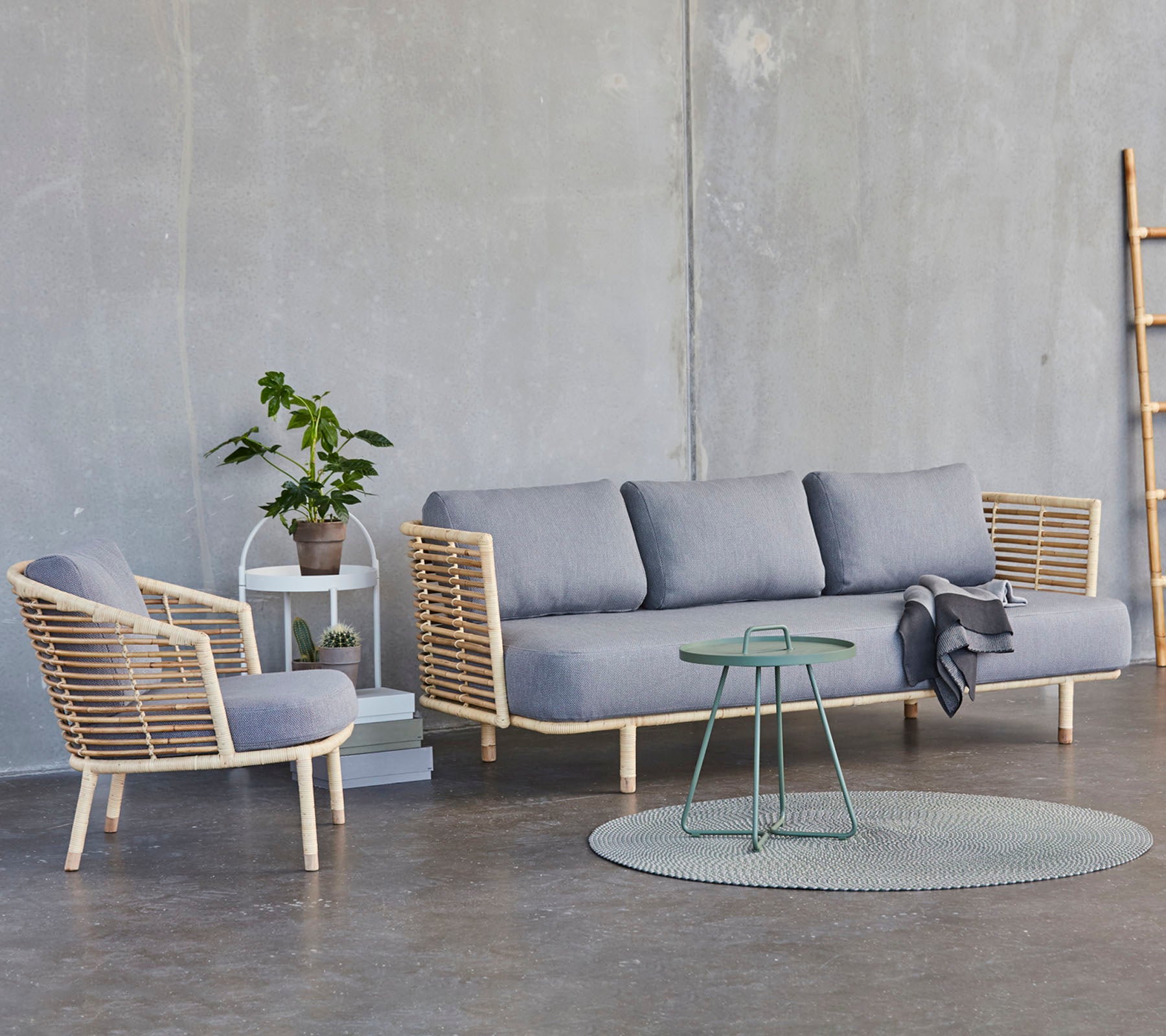 Et moderne sittearrangement med en grå sofa, en matchende stol, et rundt teppe og et lite bord med en potteplante.