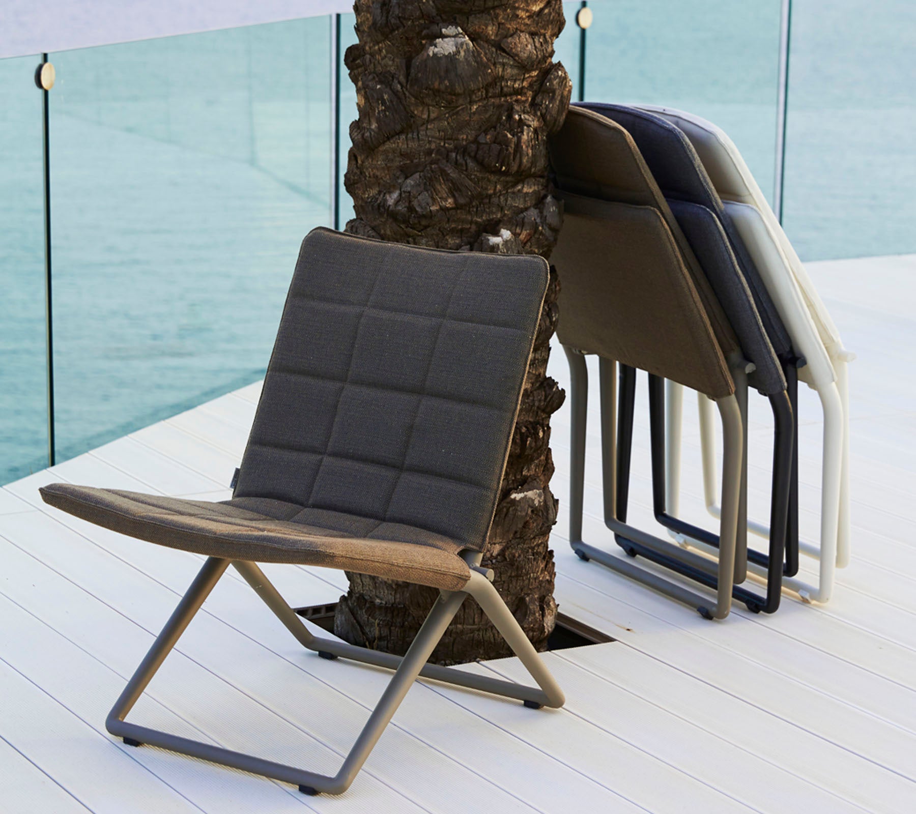 To stilige, moderne stoler i forskjellige farger med et moderne design og en slank metallramme, lent mot et palmeter.
