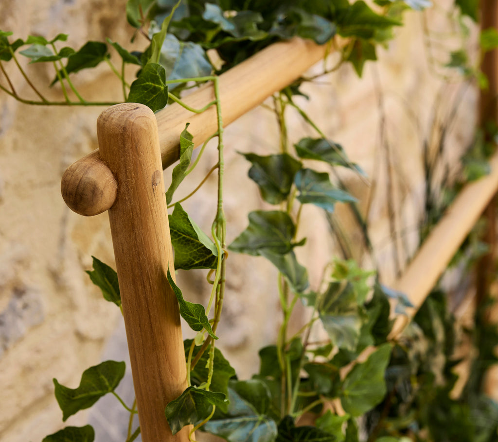 Sticks plantekasse med espalier