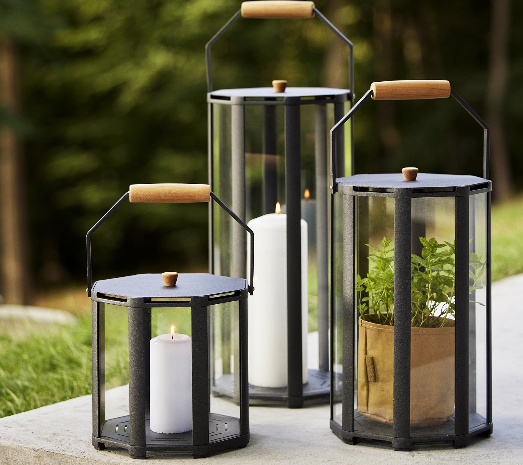 Tre lanterner med trehåndtak, som viser stearinlys og planter, satt mot en naturlig bakgrunn. Ideell for å forbedre stemningen.